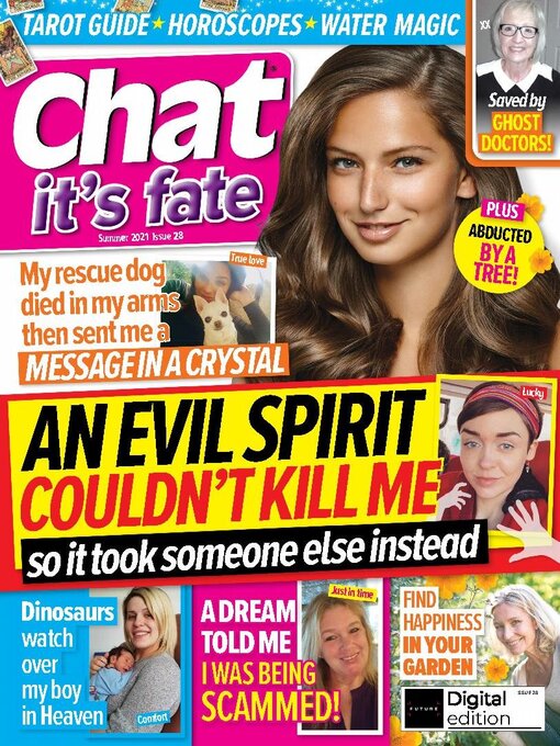 Cover image for Chat It's Fate